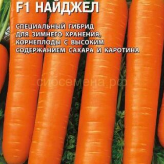 Морковь Найджел F1 (Гавр)