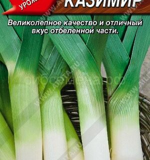 Лук Порей Казимир/Аэлита/