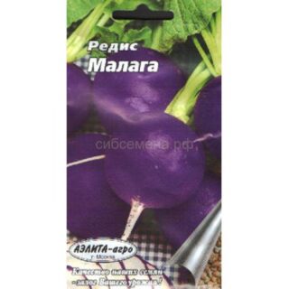 Редис МАЛАГА фиолетовая /Аэлита/