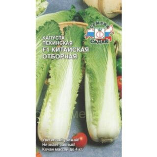 Капуста Пекинская Китайская отборная F1 (Седек)
