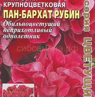 Петуния ПАН-БАРХАТ рубин F1 махровая /А/