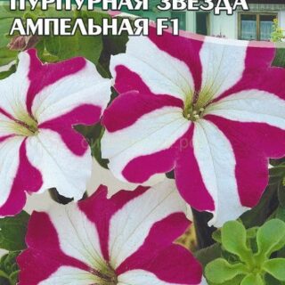 Петуния Лавина Пурпурная звезда амп F1, 10сем (цв.)