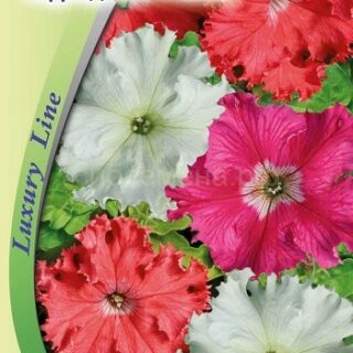 Петуния АФРОДИТА F1 микс крупноцв.бахромч. /Премиум/