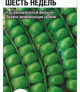Горох 6 недель /Сиб Сад/