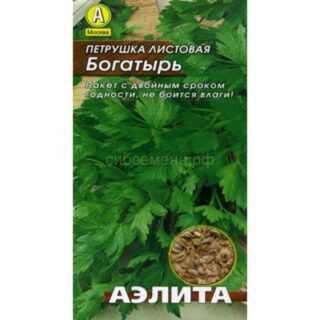 Петрушка БОГАТЫРЬ /Аэлита/ 2гр