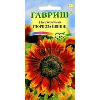 Подсолнечник Глориоза Ивнинг /Гавриш/ 0,5гр