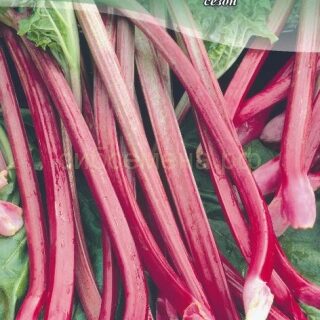 Ревень ВИКТОРИЯ 1г /цв./