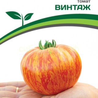 Томат Винтаж (Партнер)