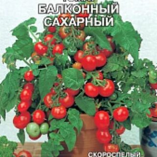 Томат БАЛКОННЫЙ сахарный (Премиум)