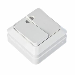 FORZA Simple Выключатель двухклавишный белый, накладной 10А, 250