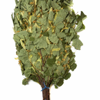 Веник Липовый