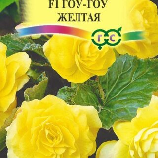 Бегония ГОУ-ГОУ F1 желтая (Гавриш)