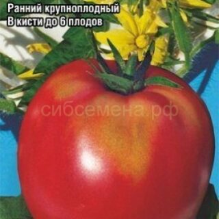 Томат Батяня /Сиб сад/