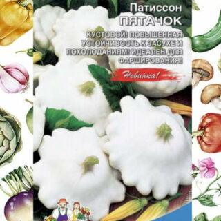 Патиссон ПЯТАЧОК /УД/