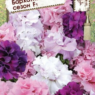 Петуния БАРХАТНЫЙ СЕЗОН F1 махр.каскад./Премиум/