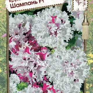 Петуния Шампань F1 крупноцв (Премиум)