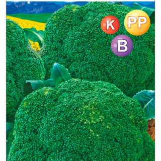 Капуста брокколи Зеленые колобки 0,2гр /СибСад/