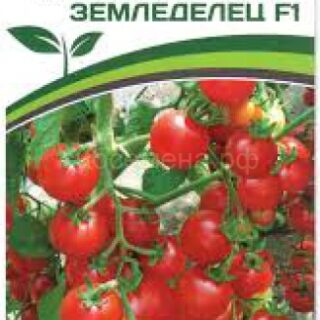 Томат Земледелец F1 (Партнер)