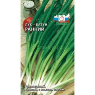 Лук батун РАННИЙ /Седек/