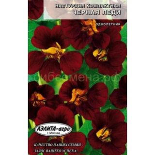Настурция ЧЕРНАЯ ЛЕДИ /Аэлита/