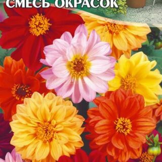 Георгина махровая смесь, 0,2г (цв.)