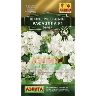 Пеларгония (герань) РАФАЭЛЛА F1 белая/Аэлита/