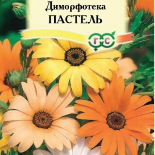 Диморфотека Пастель смесь (Гавр)