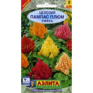 Целозия ПАМПАС ПЛЮМ /Аэлита/
