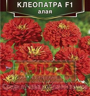 Цинния КЛЕОПАТРА алая F1/Аэлита/