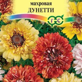 Хризантема ДУНЕТТИ махровая смесь (Гавриш)