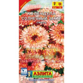 Календула СОЛНЕЧНЫЙ ЗАКАТ /Аэлита/