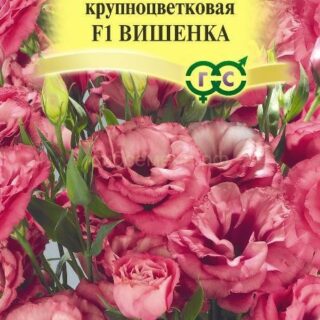 Эустома ВИШЕНКА крупноцв (Гавриш)