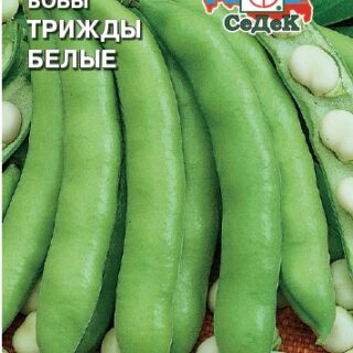 Бобы ТРИЖДЫ БЕЛЫЕ /СеДеК/
