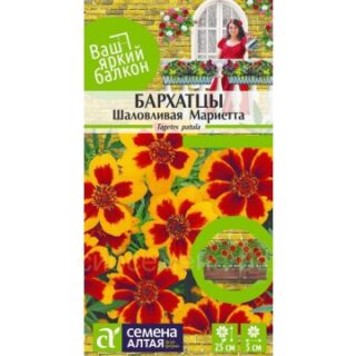 Бархатцы ШАЛОВЛИВАЯ МАРИЕТТА /Алтай/