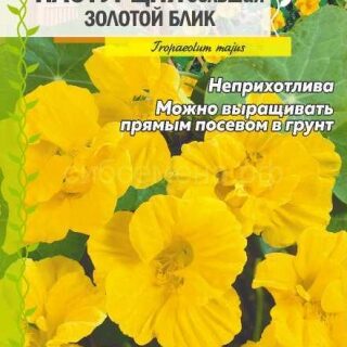 Настурция ЗОЛОТОЙ БЛИК /Алтай/