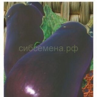 Баклажан ЯПОНСКИЙ КАРЛИК /СибСад/