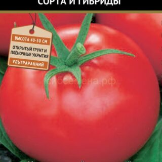 Томат АФРОДИТА F1 /П/