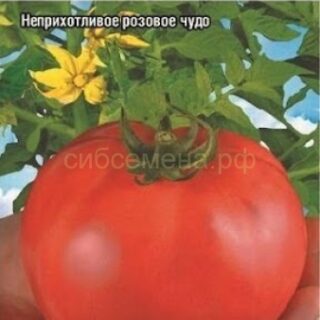 Томат СуперКлуша /СибСад/