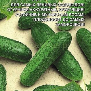 Огурец Чудо Лентяя F1 (УД)