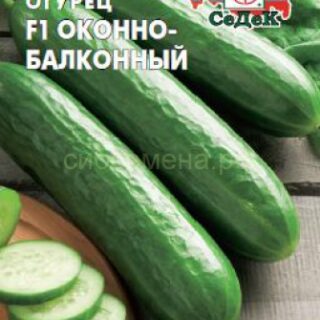 Огурец Оконно-балконный F1 (Седек)