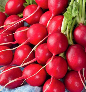 Редис Экспресс 16 F1 (УД)