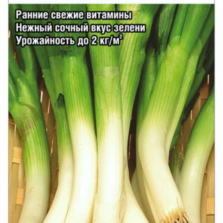 Лук батун Лонг Токио 0,5гр  /Сиб сад/