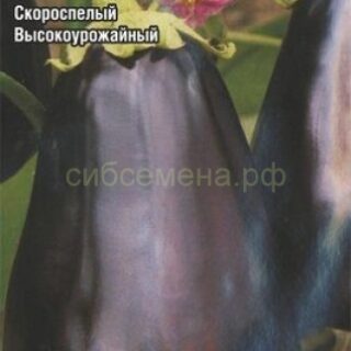Баклажан Вера /СибСад/