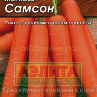Морковь Самсон/Аэлита/