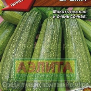 Кабачок цуккини ЕРЁМА/Аэлита/ 1гр