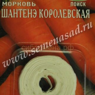 Морковь на ленте Шантенэ Королевская (П)