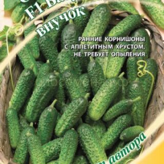 Огурец Бабушкин внучок F1 (Гавр)