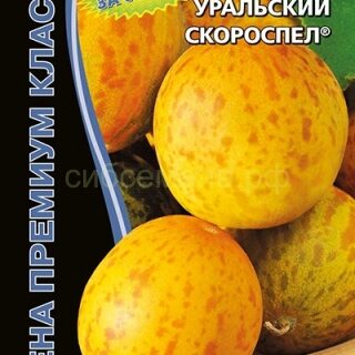 Дыня Уральский скороспел (УД)