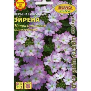 Вербена гибридная Эйрена (Аэлита)