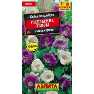 Кобея ГЖЕЛЬСКИЕ УЗОРЫ,смесь сортов /Аэлита/